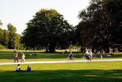 Taman